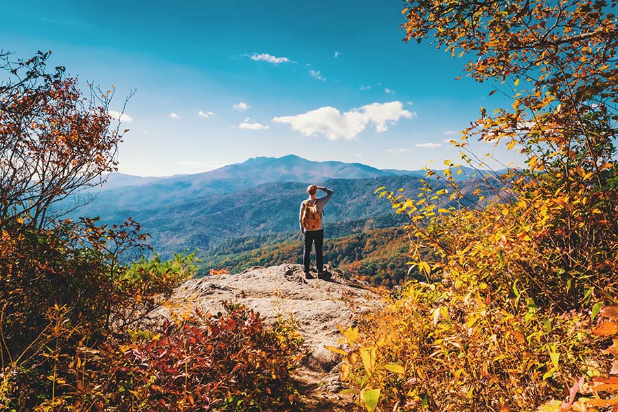 Risk Management - Man Standing On Cliff Looking Out At Mountains And Valley Below