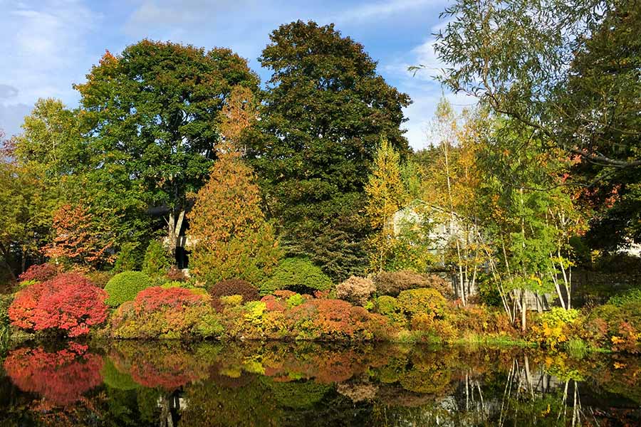 Norwood MA Insurance - Beautiful Lakeside and Colourful Trees of New England at Foliage Sea